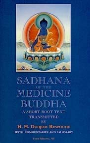 Paperback Sadhana of the Medicine Buddha: A Short Root Text Book