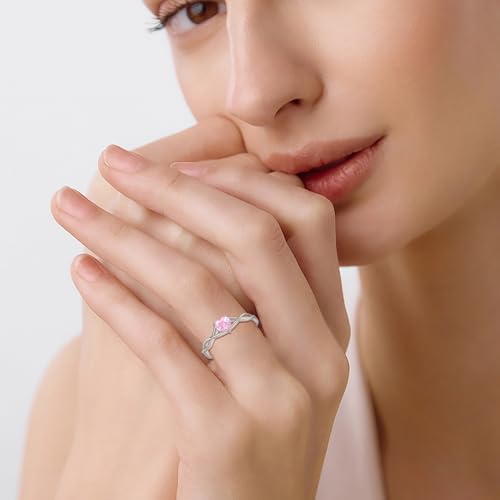 Twisted Rings 925 Sterling Silver Infinity Band Heart Birthtone Promise Rings for Women4