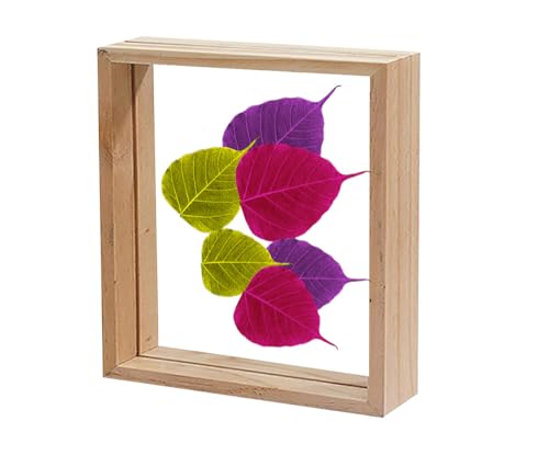 Image of Desi Rang Wooden Frame for Wall Decor Table top Hanging Any Green or dry plant Leaf Picture Photo DIY Gift Home decoration (Natural,Sqr,12x12 inch,with random peepal colored leaf)