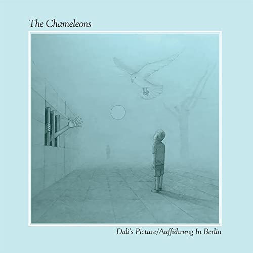 The Chameleons