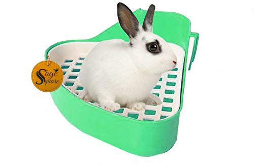 Sage Square Jumbo Size Litter Tray Cum Potty Training with Scoop for Rabbit, Guinea, Pig, Ferret (Green)-image-25