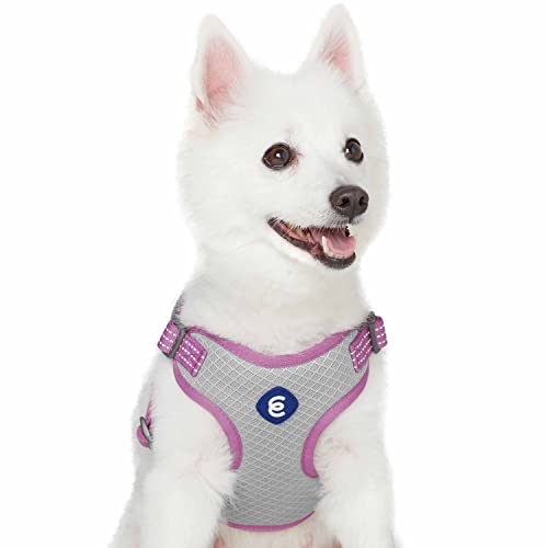 Blueberry Pet Essentials Back to Basics Reflective Dog Harness Vest, Mauve Orchid, Medium, Adjustable Harnesses for Dogs