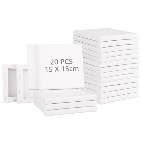 Lienzos Para Pintar 20x20 Cm - Pack De 12, Bastidores Algodón, Preparados Con Gesso