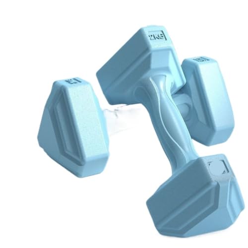 HUNTFF Mancuernas de fitness pequeñas para mujeres y hombres fitness casa pérdida de peso mancuernas equipo deportivo para exteriores interiores manillar