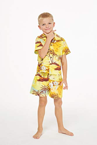 Hawaii Hangover Boy Aloha Luau Shirt Cabana Set in Sunset with Dolphin4