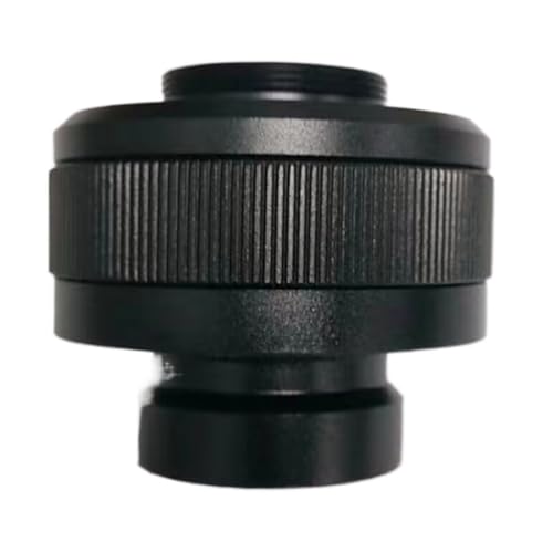 Lbg SZN81 J C }Eg A_v^[ Y 0.5X YA_v^[