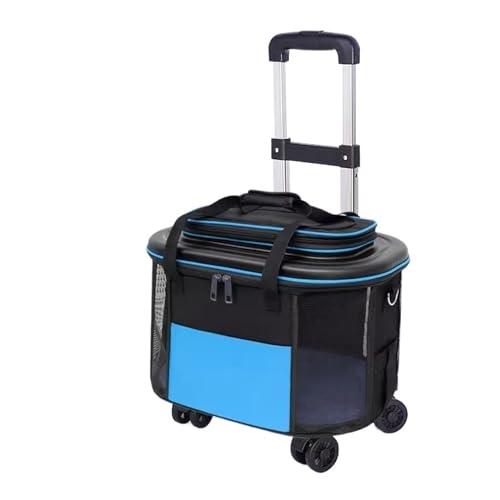 Valise de voyage pour animaux de compagnie et poussette pliable à roulettes