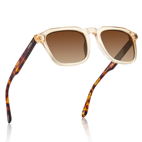 Image of CARFIA Retro Sunglasses for Men Polarized UV400 Protection, Hand-crafted Acetate, 60s Style Square Cool Sun Glasses
