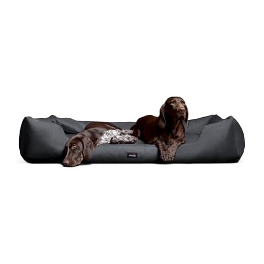 BedDog® Hundebett LUPI, Hundesofa aus Cordura, Microfaser-Velours, waschbares Hundebett mit Rand, Hundekissen Vier-eckig, für drinnen, draußen, XL, The-Rock, schwarz-grau 8 tierlando Moritz Hundebett Hundesofa M - XXXL 90 110 130 160 185 cm M5-C-02 Größe: M5 / XL 120cm | Bezug: Codura | Farbe: 02 Graphit-Grau