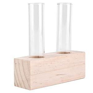 Glazen reageerbuis Bloempot Hydrocultuur Plant Glazen reageerbuis Vaas Terrarium Container met rek voor hydrocultuur Huis Tuindecoratie