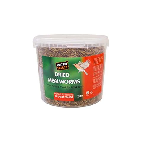 Extra Select Dried Mealworms for Wild Birds Cover