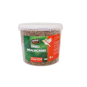 Extra Select Dried Mealworms Wild Bird Feed Treat, 5 Litre
