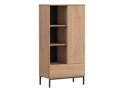 Nitho NH03 R70 - Estantería universal con puerta y cajón, estantería para libros, armario alto con placas insertables, armario para salón (Hikora)