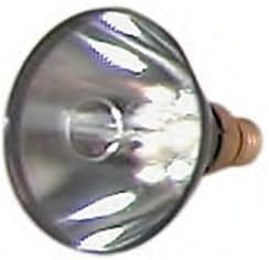 Black Light Bulbs - 100w med. based blacklight bulb