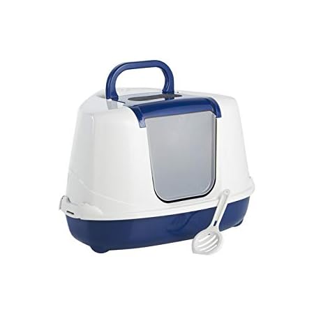 large custom dog collars