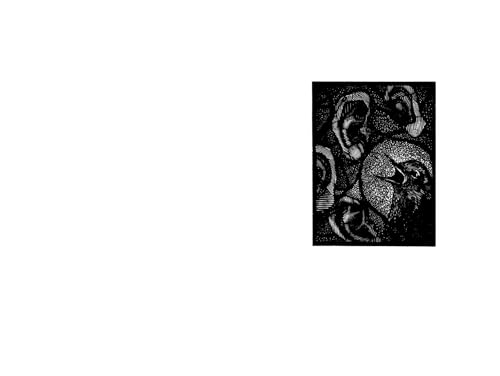 Wild: Tales from Early Medieval Britain - Image 5