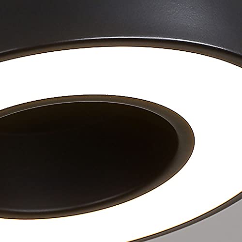 Lámpara colgante de anillo LED moderna e iluminación decorativa de pasillo con panel de metal 2