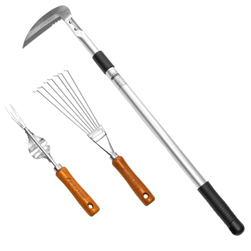 Set japonés de herramientas para deshierbe con mango telescópico miniatura 1