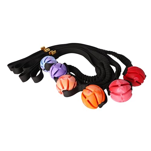 Dingo Spielzeug mit Bäll # 6 cm Griff Bungee 65 cm Hundespielzeug Spielen mit Hund Training Apporte 15675