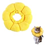 MUNZE Collare Per Il Recupero Dei Gatti,Collare Protettivo Gatto Collare Anti, Animali Domestici Morbido Anti Morso Collare Adatto Al Peso Dell'Animale Domestico 4-6 Kg