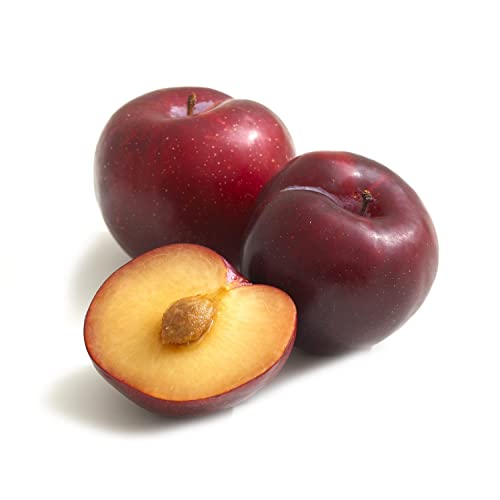 Plums Angelino South Africa 500 g Approx.