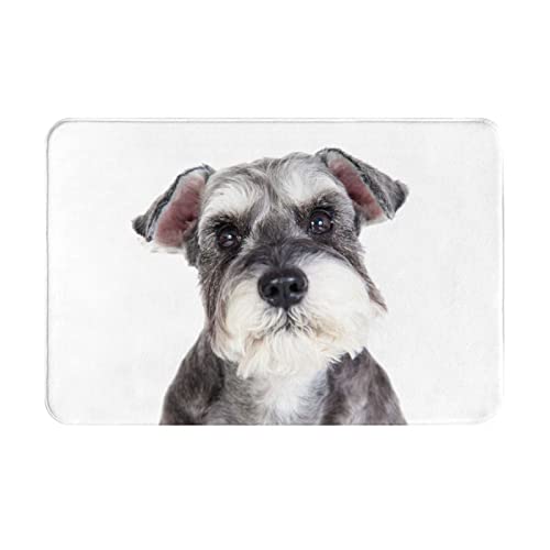 փ}bg 킢 ViEU[  ybg  O  ~ DƂ 􂦂 ӂӂ  z ϖ hL lC v[g 40×60cm iio31