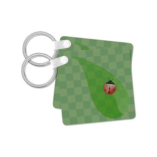 3dRose, Ladybug Green Checkered Print - Animal Art - Childrens Art, set of 2 Key Chains