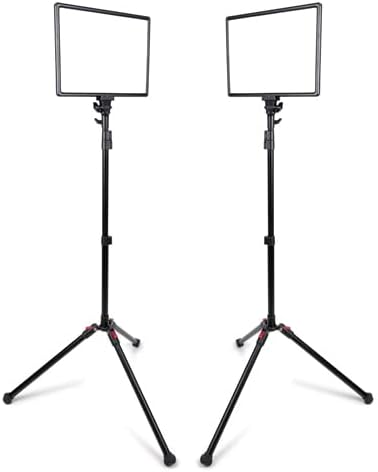 ProMaster Ultrasoft US1014B 2-Light Transport Kit - Bi-Color 10" x 14", (Model 60900)