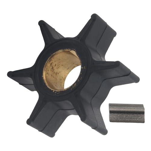 Turbine en Caoutchouc pour Moteur Hors-Bord 20 ch 2 Temps Compatible avec 47-89982T1