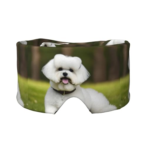 킢rVt[[vgX[v}XNA_炩ɗDACJo[AsK̂QpՌ}XN