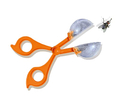 Image of SES Creative 25116 Insect Explorer