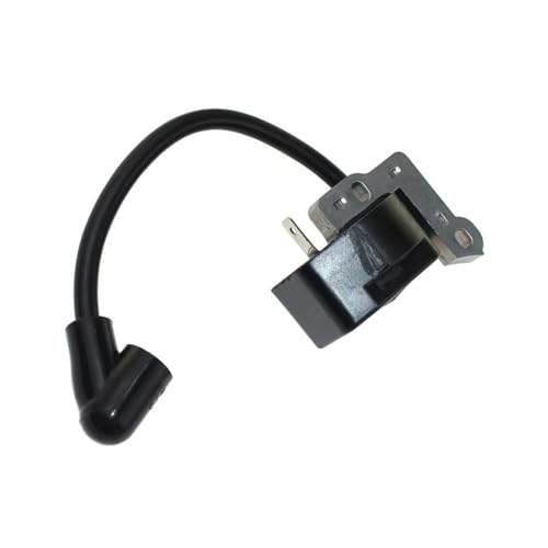 Module d'allumage électronique haute tension pour série RY30951