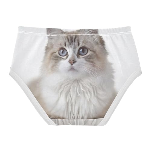Girls Briefs, Pet Print Cat White Toddler Girl Briefs, Girls Cotton Underwear, 2T–8 Years2