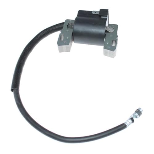 Bobine d'allumage Straton 495859 pour réparer un moteur