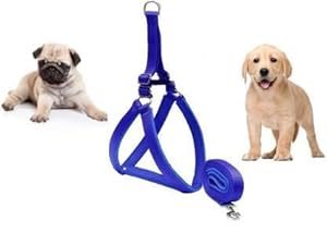 VIP Collection Pet Nylon Soft Padded Body Reflective Adjustable Breathable Long Set-Leash & Harness Collar for Puppy Outdoor Training and Running Set Blue (Extra Small)