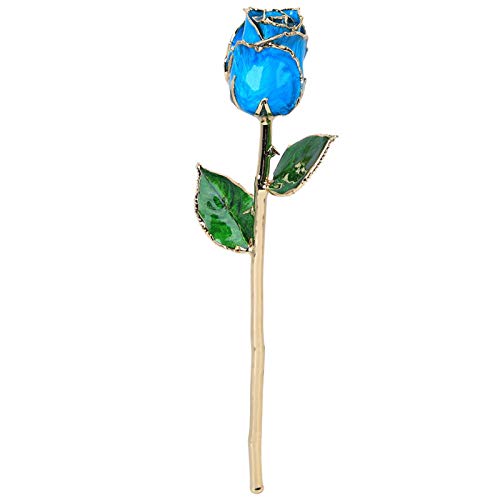 Rose éternelle bleu ciel décorative avec socle pour table basse de salon - 2