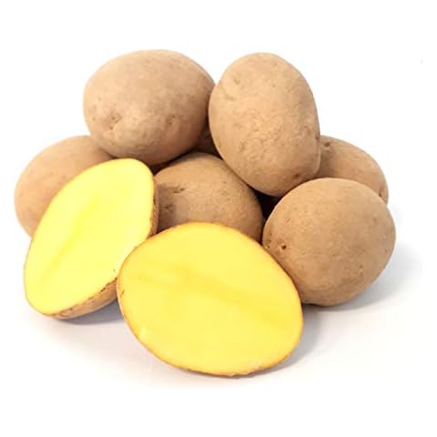 Kartoffel Afra mehlige Kartoffeln 1-25 Kg deutsche Speisekartoffel perfekt für Kartoffelsuppe, Püree, Gnocchi, Knödel, Kroketten, Ofenkartoffeln Aufläufe Salzkartoffeln auch zum Grillen geeignet (8) Cover