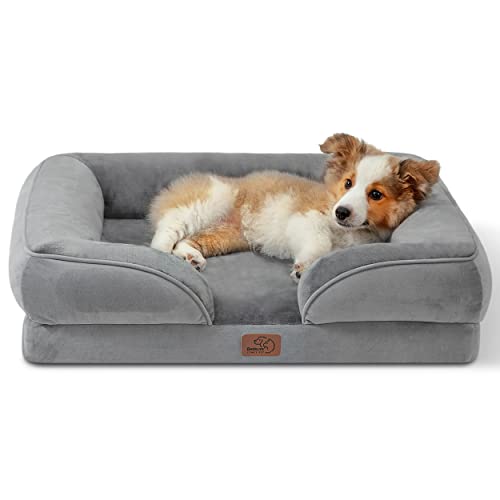 The 30 Best Square Dog Beds of 2024 [Verified] Cherry Picks