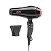 BERTA Hair Dryer, BT031, Ionic Technology, Foldable, 1875 Watts, Dual Voltage, Global Voltage Hair Dryer, Silver/Red, Ceramic, 2 Speeds, 3 Settings, Includes Nozzle, For Frizzy Hair