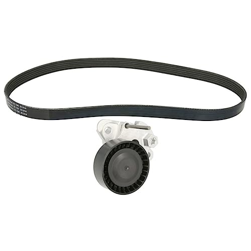 Kit courroie nervurée INA 529 0159 10 à haute résistance thermique pour Tiguan