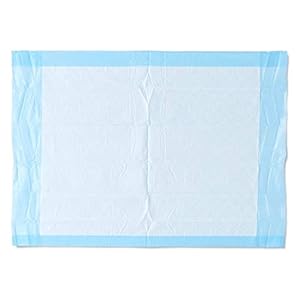 Medline Ultra Lightweight Tissue and Plastic 17” x 24” Disposable Underpad, Great for Changing Table and Surfaces, 100…
