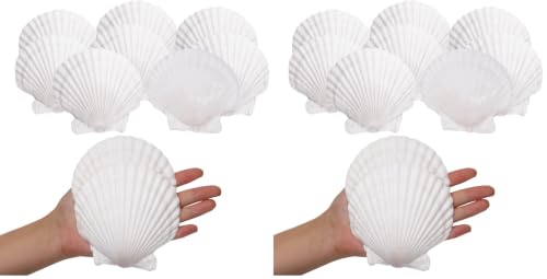 Image of Giftvest 10PCS Sea Shells White Scallop Shells for Crafts Baking Cooking Serving Food, 4-5 inch Large Natural Seashells for DIY Crafts Seashell Beach Decorations for Home Decor (Pack of 2)