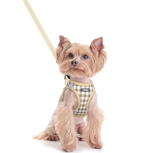 Image of rabbitgoo Dog Harness Small Sized and Leash Set, Step-in Puppy Pet Vest