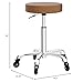 Rolling Salon Stool Swivel Chair with Wheels Height Adjustable Hydraulic for Hair Salon Beauty Facial Massage Spa Tattoo Medical Home Office (Camel)