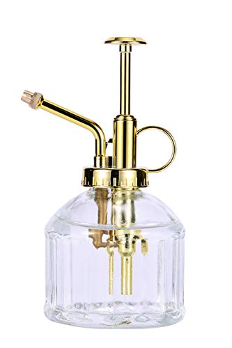 Eidoct Glas Pflanze Mister Sprühflasche, 6.5" Klarglas Wasser Sprühflasche mit Gold Top Pumpe Kleine Gießkanne, Kleine Pflanze Sprühflasche für Indoor Outdoor Haus Pflanze, Clear+Gold B Cover