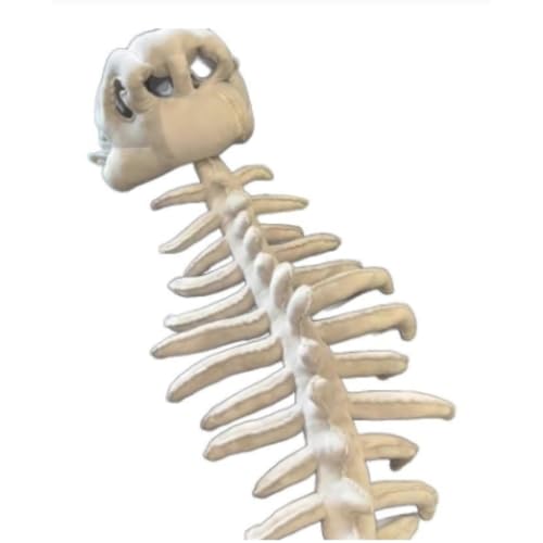 [Angoda] NGCeBuȃXJ}XN j[NȓW}XN AȔwt[ߑTvCYMtg ړx [Xȃp[eB[ql܂ nEBߑ jՃp[eB[ʐ^Bep G^[eCg (90cm)