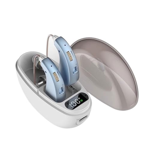 集音器 イヤホン集音器 しゅうおんき USB充電式 耳穴式音量調節 左右両耳用 小型 軽量 簡単操作 ZI-0322