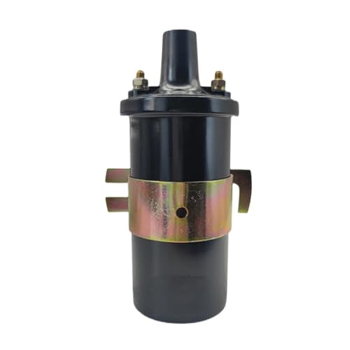 Bobine d'allumage 300 8M0079202 pour moteur V6 V8 IV V