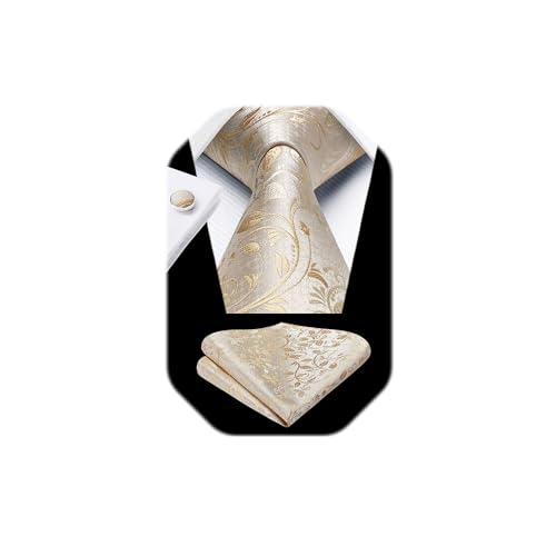 Image of HISDERN Ties for Men Paisley Floral Mens Ties and Pocket Square Cufflinks Set Classic Business Necktie Handkerchief