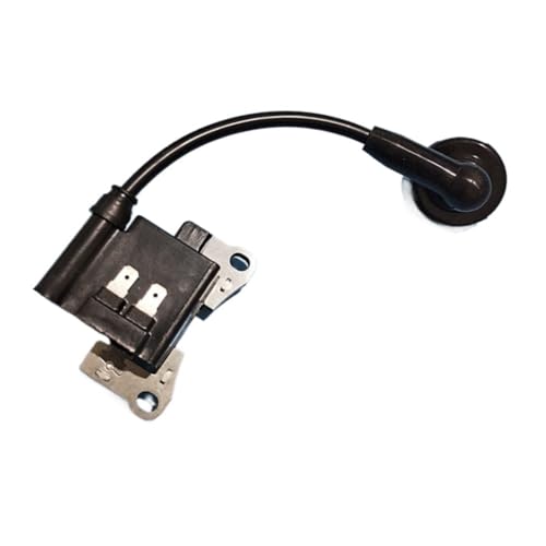 Bobine d'allumage 1E34F pour réparer un coupe-bordure TLE26 qui ne démarre plus